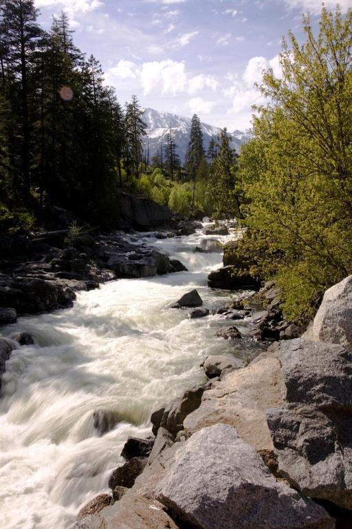 Pine River Ranch B&B Lake Wenatchee Dış mekan fotoğraf
